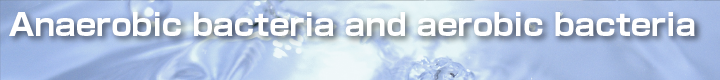 Anaerobic bacteria and aerobic bacteria 